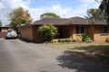 Property photo of 69 Old Hume Highway Camden NSW 2570