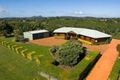 Property photo of 12 Myrtle Court Black Mountain QLD 4563