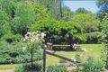 Property photo of 2654 Wisemans Ferry Road Mangrove Mountain NSW 2250