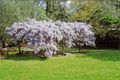 Property photo of 2654 Wisemans Ferry Road Mangrove Mountain NSW 2250