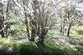 Property photo of 7 Forest View Lane Upper Ferntree Gully VIC 3156