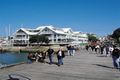 Property photo of 36/1 Syme Street Williamstown VIC 3016