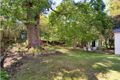Property photo of 22 Norfolk Road Epping NSW 2121