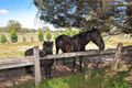 Property photo of 150 Dunnetts Road Yan Yean VIC 3755