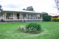 Property photo of 11 Powell Street Roma QLD 4455