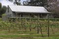 Property photo of 4 One Chain Road Merricks North VIC 3926