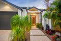 Property photo of 77 Forest Ridge Circuit Peregian Springs QLD 4573