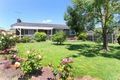 Property photo of 16 Thomas Street Dromana VIC 3936