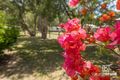 Property photo of 115 Johns Road Wadalba NSW 2259
