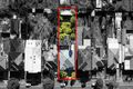 Property photo of 82B Nelson Street Fairfield Heights NSW 2165
