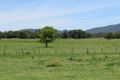 Property photo of 34 Kings Ridge King Creek NSW 2446