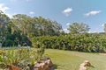 Property photo of 23 Bushbird Court Diddillibah QLD 4559