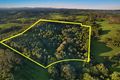 Property photo of 159 Flowers Road Binna Burra NSW 2479