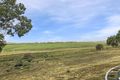 Property photo of 609 Jervois Road Riverglen SA 5253