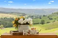 Property photo of 995 Laceys Creek Road Laceys Creek QLD 4521