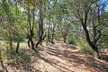 Property photo of 33 Yandanah Road Fairhaven VIC 3231