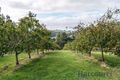 Property photo of 670 Ironcliffe Road Penguin TAS 7316