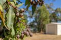 Property photo of 220 White Beach Road White Beach TAS 7184