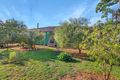 Property photo of 3 Strangman Road Waikerie SA 5330