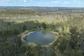Property photo of 295 Schnitzerling Road Thane QLD 4370