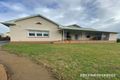 Property photo of 59 Krieg Road Lyndoch SA 5351