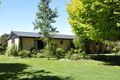 Property photo of 47 Buttle Road Spring Creek NSW 2800