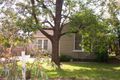 Property photo of 3 Walter Street Mitcham VIC 3132