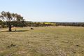 Property photo of 23 Warks Road Young NSW 2594