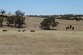 Property photo of 53 Mintern Road Auburn SA 5451