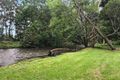 Property photo of 1 Mimosa Court Buxton VIC 3711
