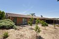 Property photo of 31 Australia Avenue Modbury SA 5092