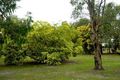 Property photo of 36 Cassell Court Pomonal VIC 3381