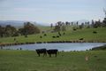 Property photo of 595 High Forest Road Omeo VIC 3898