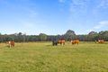 Property photo of 2209 Wombeyan Caves Road High Range NSW 2575