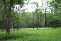Property photo of 23 Pinkwood Street Cedar Vale QLD 4285