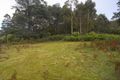 Property photo of 1 Mt Elephant Road Gray TAS 7215