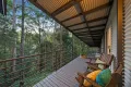 Property photo of 38 Settlers Ridge Road Buderim QLD 4556
