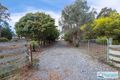 Property photo of 87 Shannon Drive Port Sorell TAS 7307