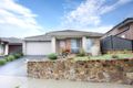 Property photo of 7 Brio Drive Craigieburn VIC 3064