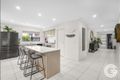 Property photo of 20 Razorbill Terrace Werribee VIC 3030