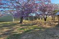 Property photo of 6 Mutton Street Avenel VIC 3664