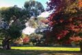 Property photo of 325 Black Range Road Romsey VIC 3434