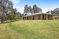 Property photo of 1554 Princes Highway Bimbimbie NSW 2536