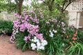 Property photo of 14 Killarney Court McGraths Hill NSW 2756