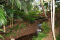 Property photo of 6-8 Borneo Court Tamborine Mountain QLD 4272