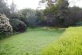Property photo of 13 Suzanne Avenue Morphett Vale SA 5162