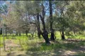 Property photo of 9 Eastern Road Macleay Island QLD 4184