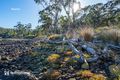 Property photo of 122 Mulcahys Road Apollo Bay TAS 7150