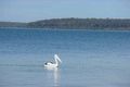 Property photo of 134 Loralyn Avenue St Georges Basin NSW 2540