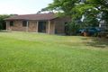 Property photo of 21 Platypus Street Wamuran QLD 4512